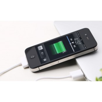 Apple ikrovimo 30-pin -usb laidas "Remax" firmos